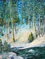 Stream in Snowy Woods